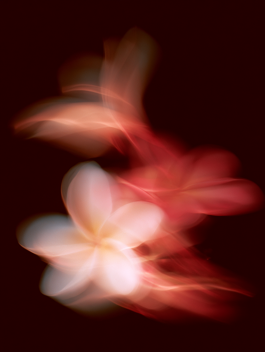 Plumeria Tiaré Body Oil
